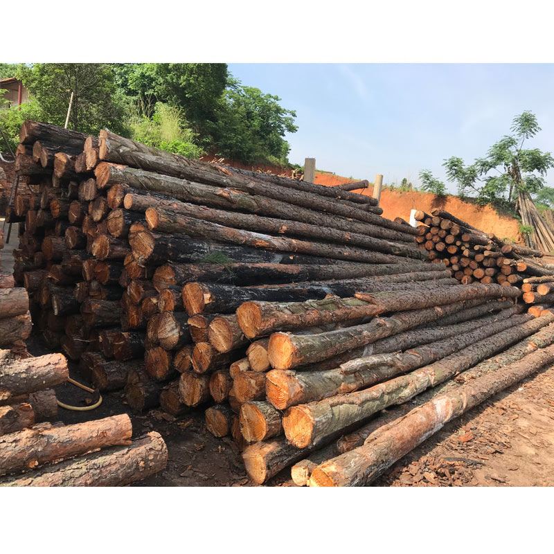 松木樁使用注意事項(xiàng)有哪些?