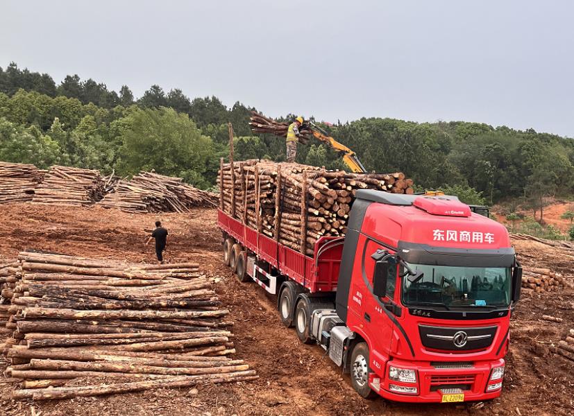 落葉松可以做防腐木嗎,如何制作落葉松防腐木