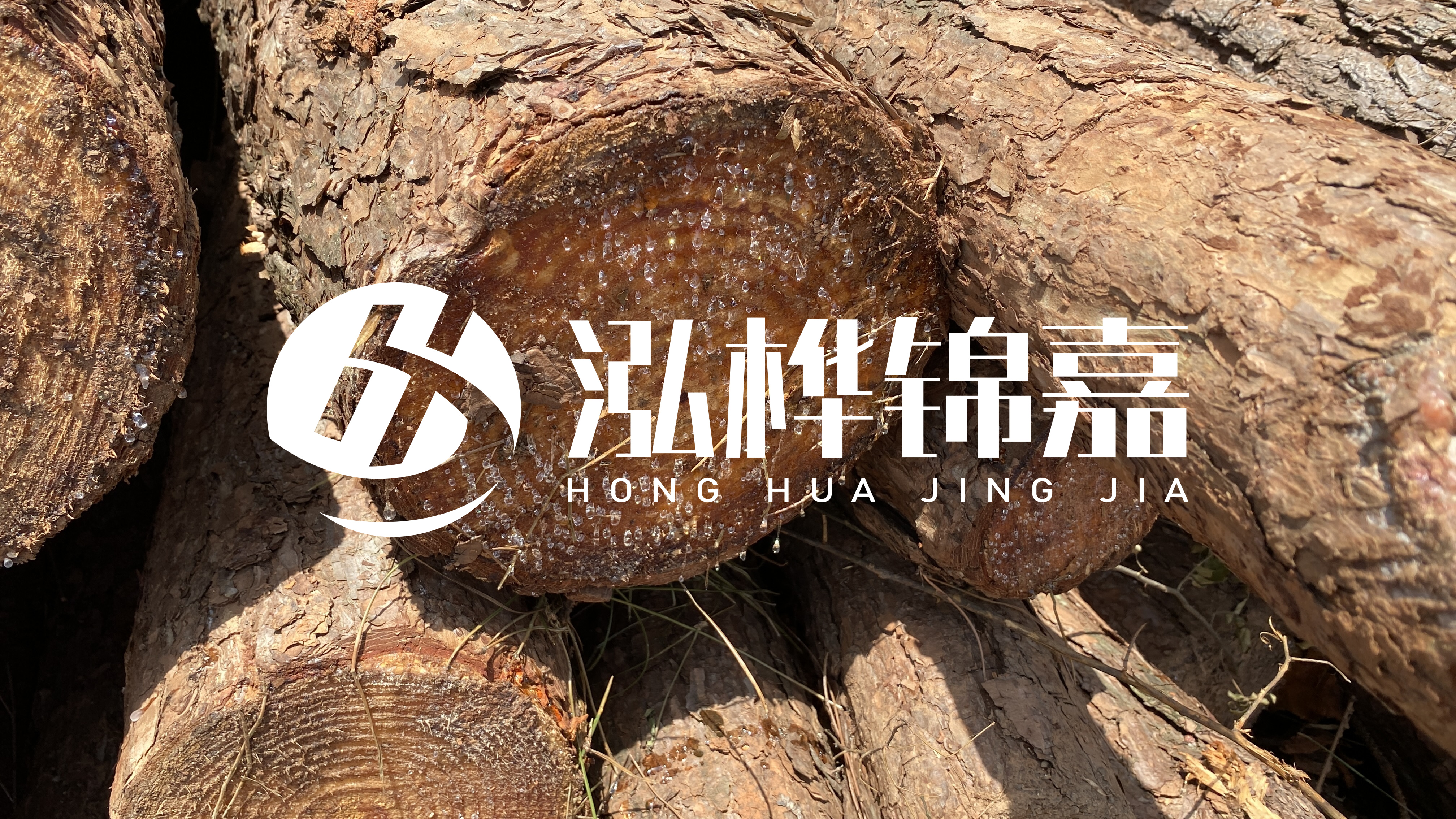 松木樁基礎施工規范