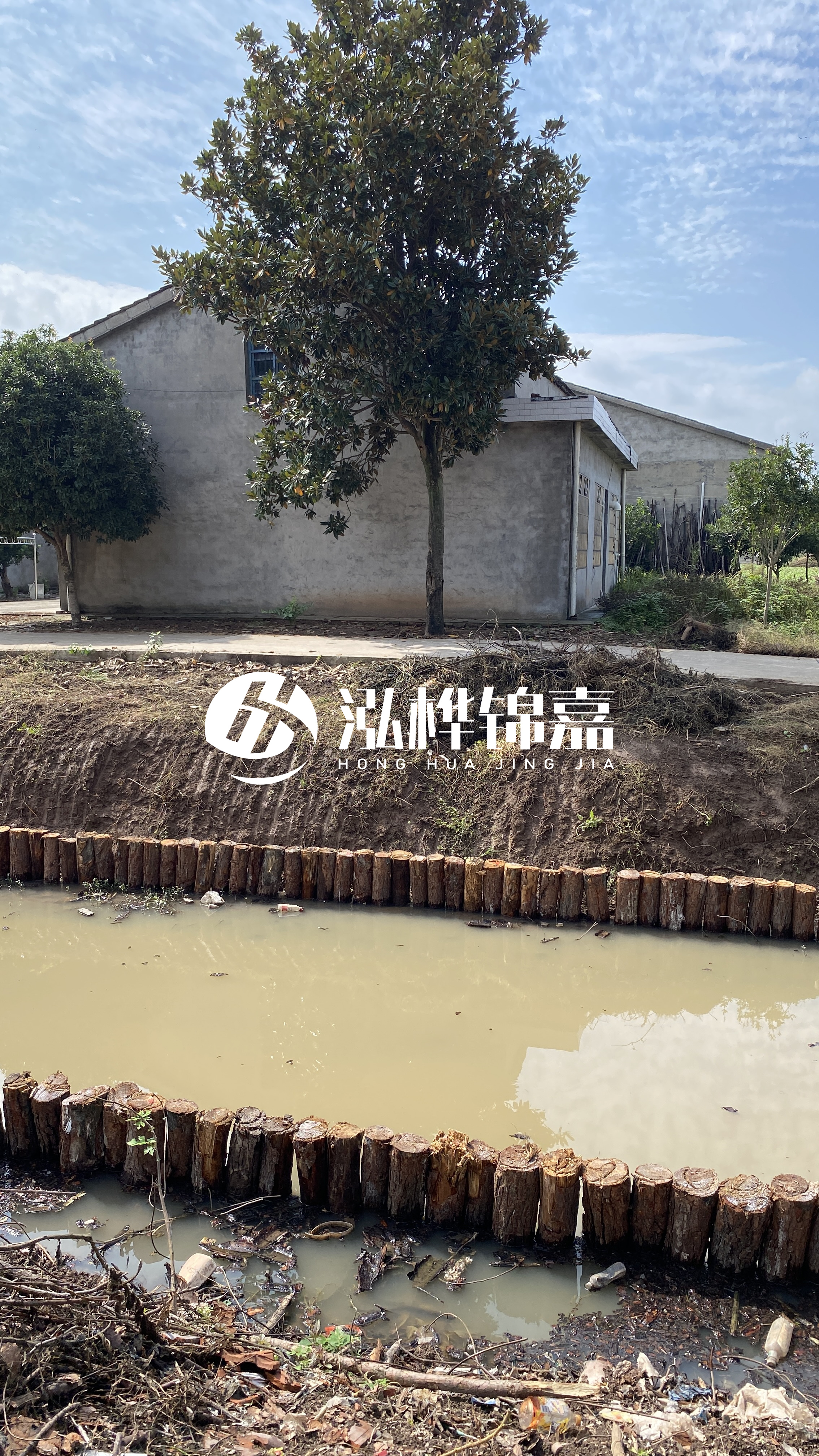 阜陽挖機打木樁專業施工-松木樁打樁木是否需要預先處理?