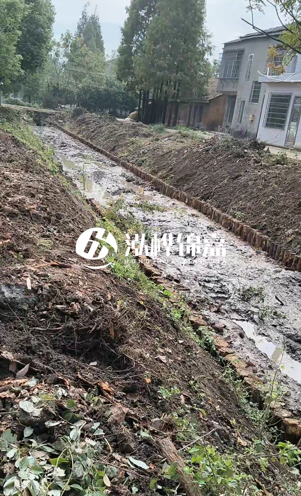 鷹潭挖機打木樁專業施工-松木樁打樁木在河道治理中的優勢有哪些？