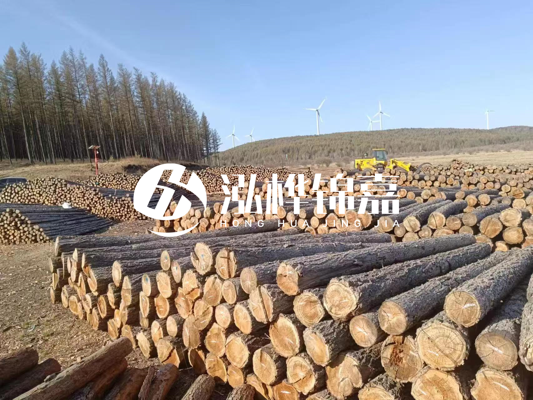 湘潭松木樁源頭廠家-松木樁與水泥樁的性價比對比如何？