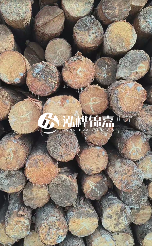 邵陽松木樁源頭廠家-松木樁護岸適合哪些地理環境？