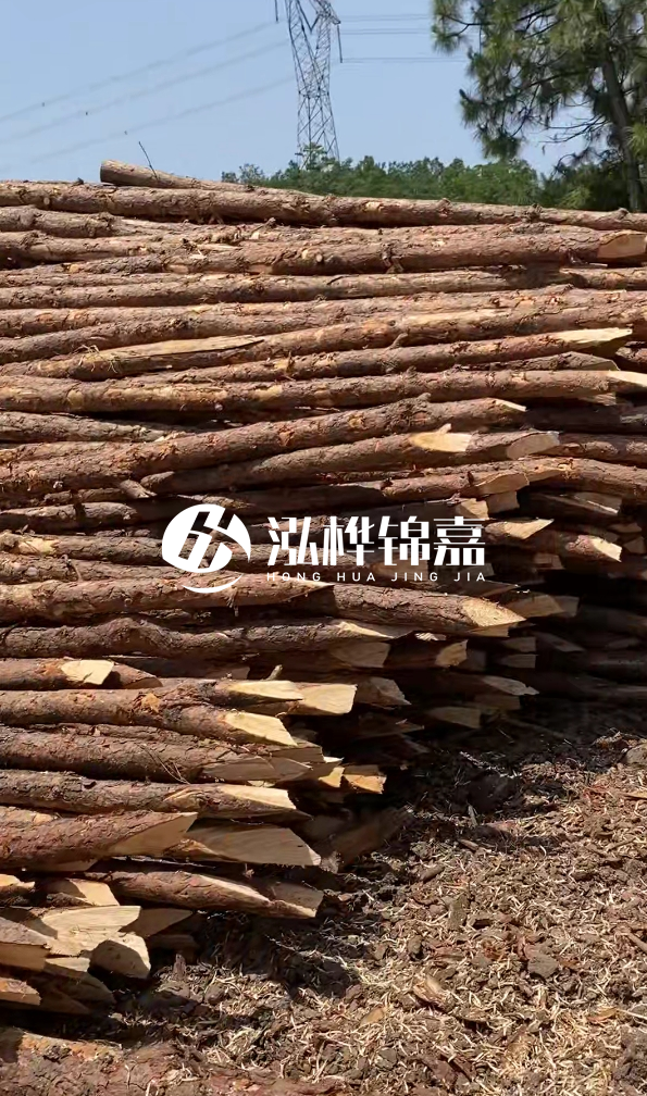 銅仁市挖機打木樁專業施工-河道松木樁水面需要預留多少？