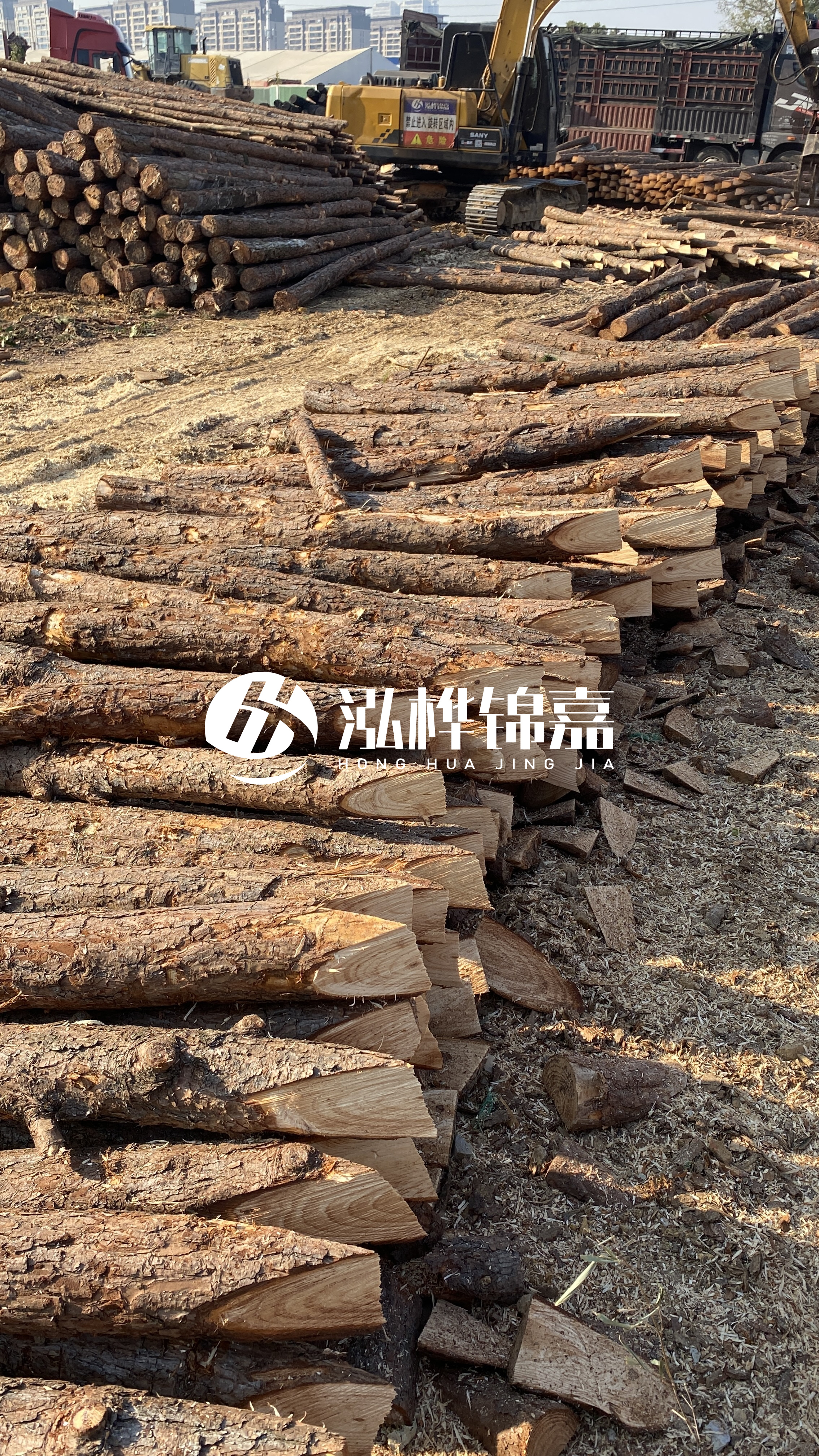 延安松木樁批發源頭廠家-杉木樁直徑按大頭算嗎?