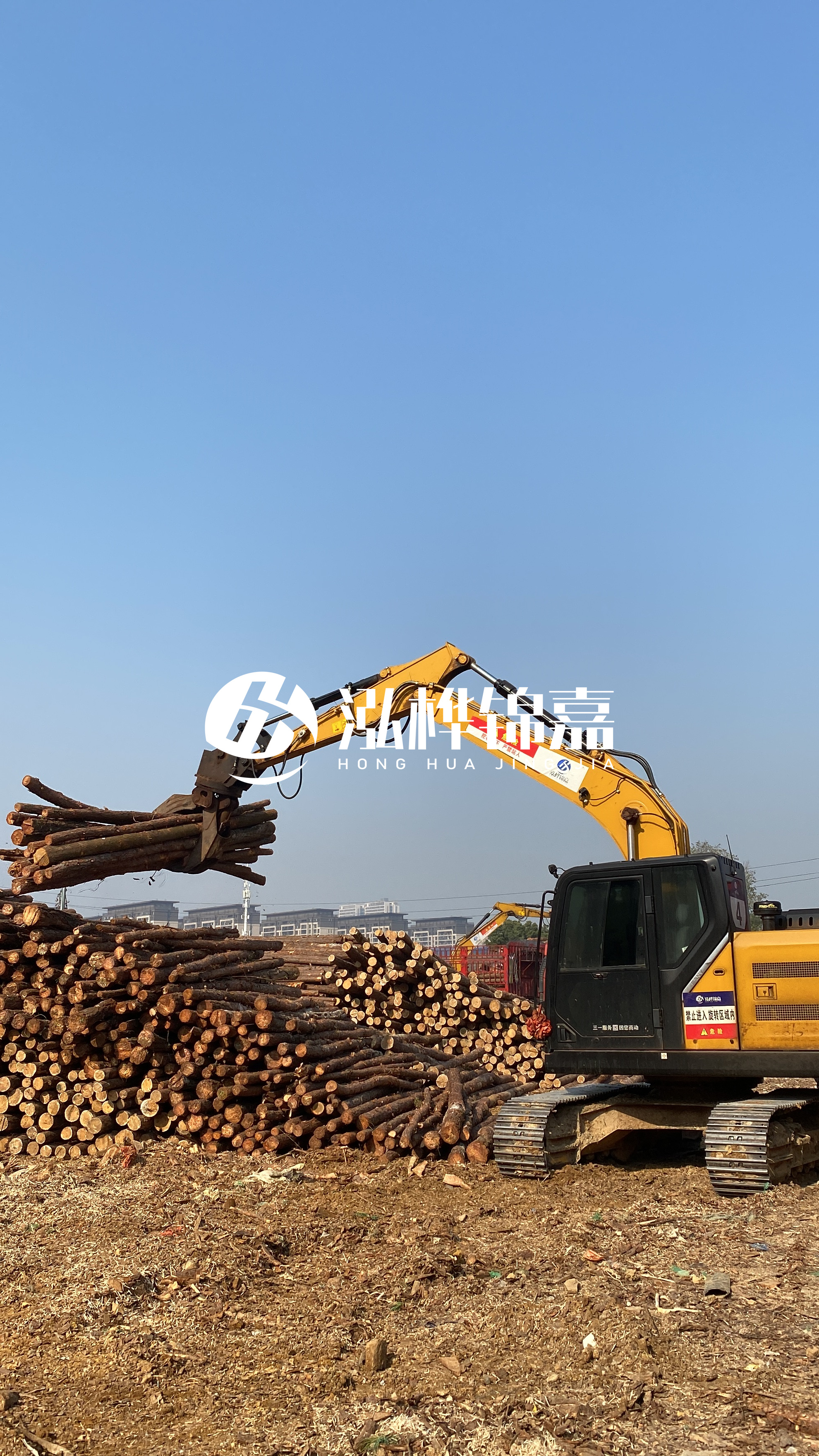 嘉峪關松木樁批發源頭廠家-6米杉木樁價格多少？