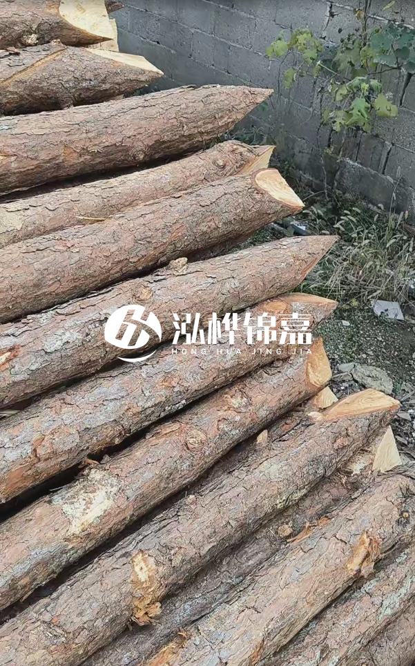 松木樁哪里能大量供應(yīng)?4米20公分松木樁價格是多少?