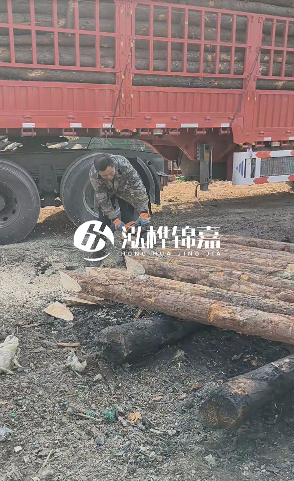 2米松木樁多少錢一根？15-20CM直徑價格是多少？