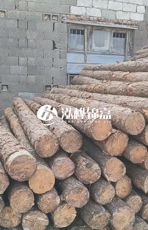 3米松木樁多少錢一根？14公分松木樁價格是多少？