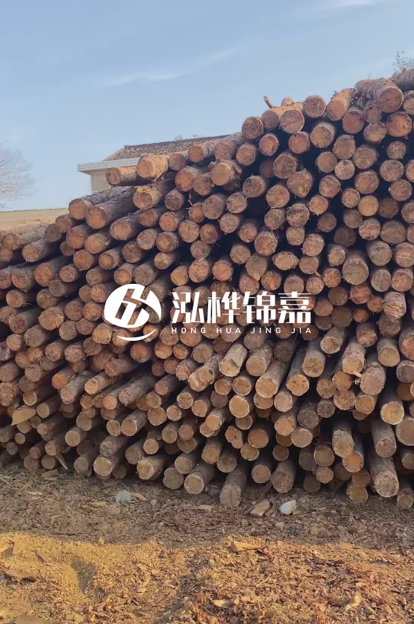 4米8-10公分松木樁大概多少錢一根？15公分價格又是多少？