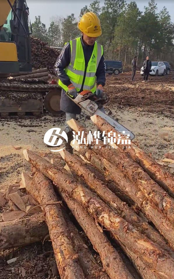 松木樁樁長(zhǎng)1.5米稍徑12多少錢(qián)一根?樁長(zhǎng)1.5米稍徑12大頭多少?