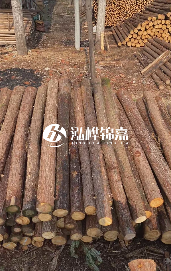 河道護(hù)坡選松木樁還是杉木樁?河道木樁一根多少錢(qián)?