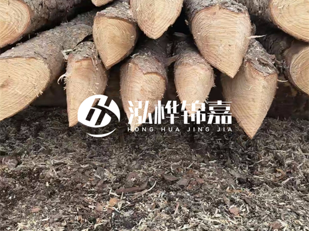 打樁木樁與鋼樁相比有哪些優(yōu)缺點?如何進行后期維護?