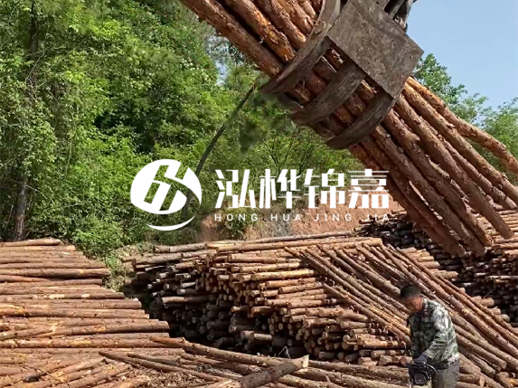 哪里能買到優質 3 米松木樁？長沙有松木樁批發工廠嗎？
