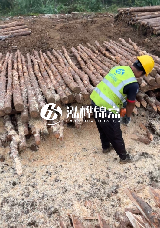 江蘇打樁木源頭廠家泓樺錦嘉-2.5米大頭10CM多少錢一根?