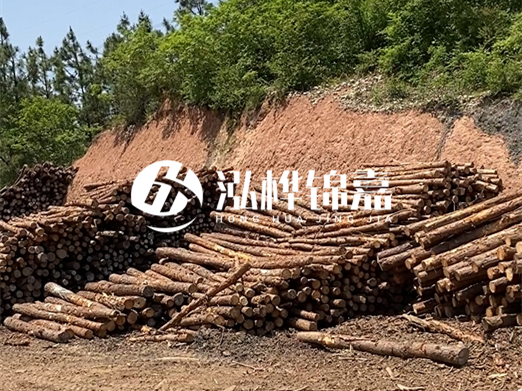 油松打樁木和落葉松打樁木的價(jià)格差異是多少?哪個(gè)性價(jià)比更高?