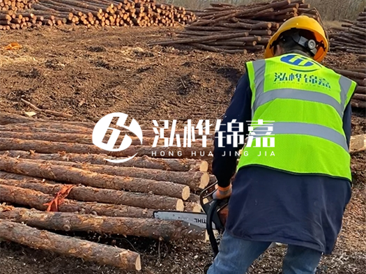 哪些木樁廠家能提供快速定制服務?哪些木樁廠家在國內(nèi)有多個生產(chǎn)基地?