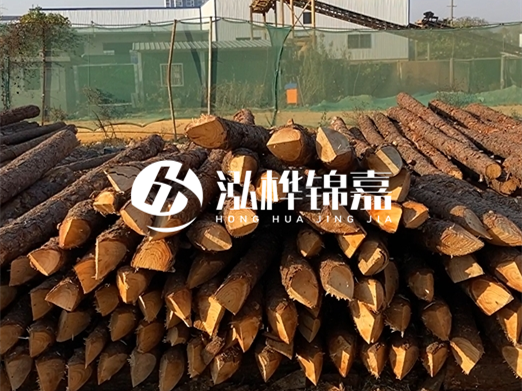 松木樁6米15cm打樁多少錢一根-專業(yè)打木樁隊聯(lián)系電話?