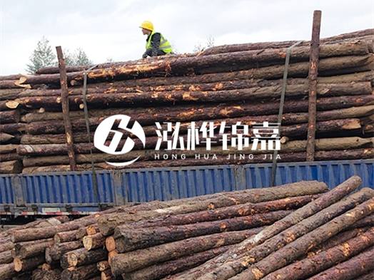 防洪防汛用松木樁的單價是多少？4米長10公分多少錢一根？