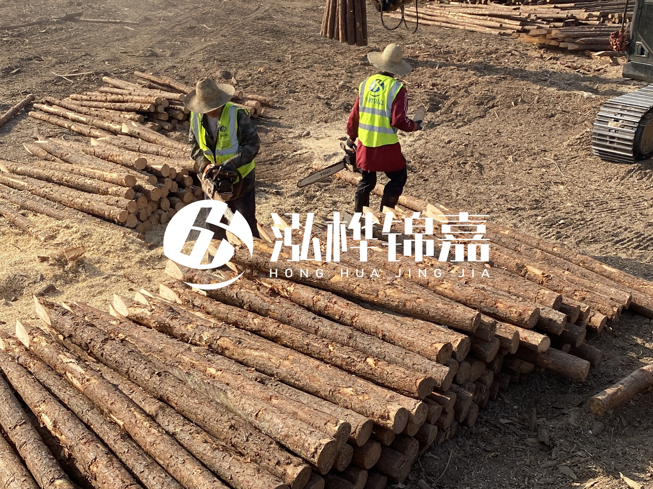 河道木樁報價在汛期前后會有波動嗎？什么時候買最便宜？