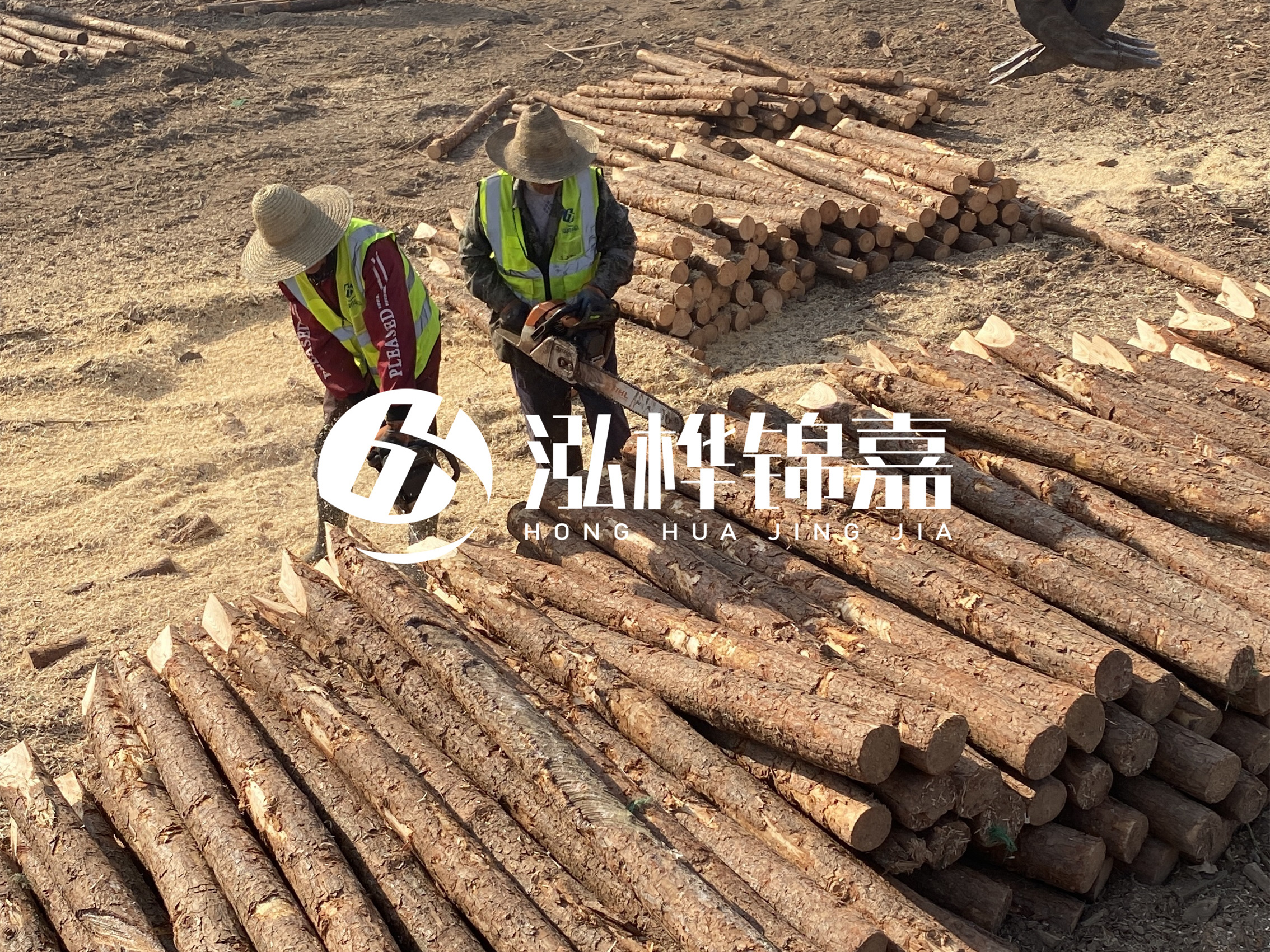 河北打樁木廠家主要生產哪些材質的打樁木？產品有哪些規格？