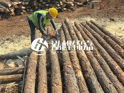 松木樁批發廠家泓樺錦嘉-河道打樁木施工中怎么防止樁頭被打壞？