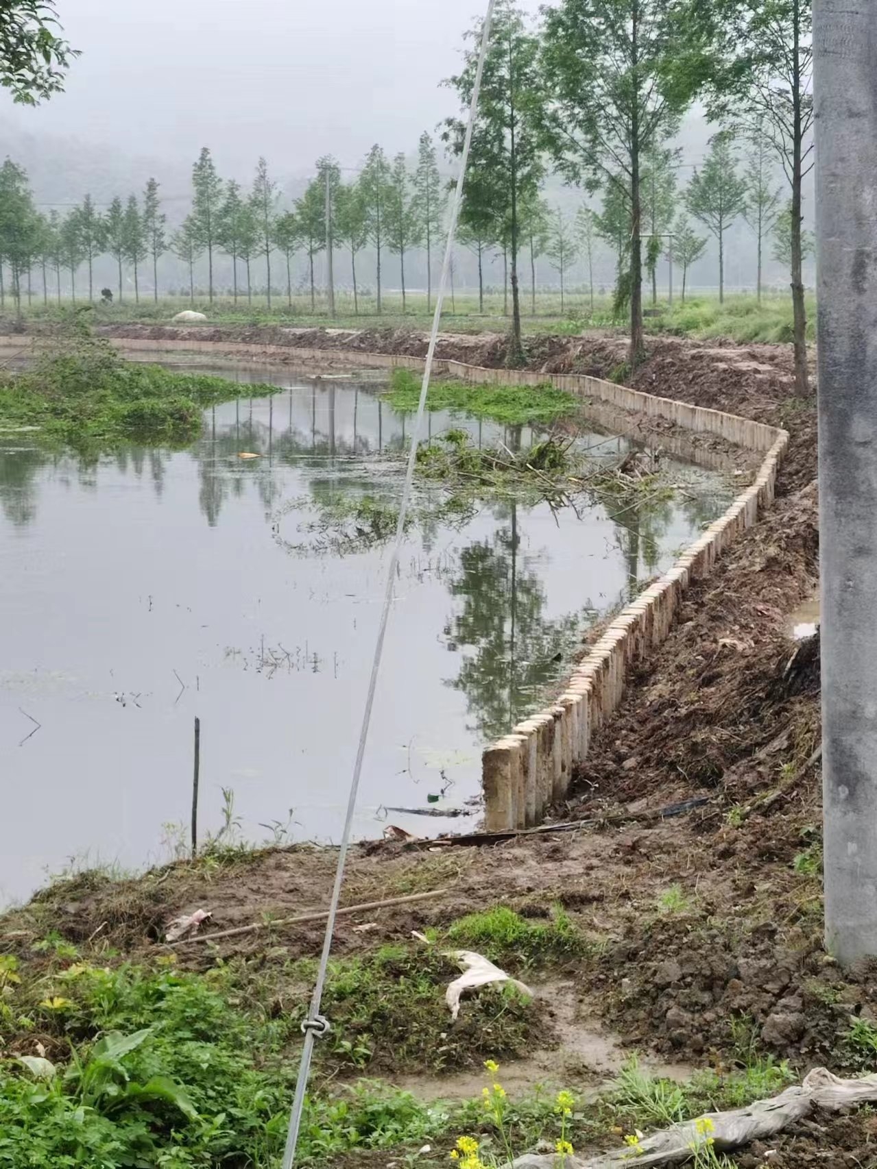 水泥仿木樁施工隊(duì)泓樺錦嘉 - 仿木樁施工多少錢一米?