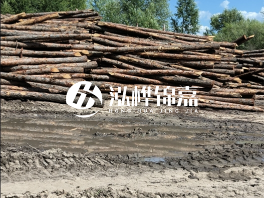 松木樁施工隊泓樺錦嘉 - 木頭打樁護岸能用多長時間？