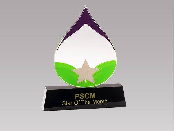 某科技公司定制亞克力獎牌 某科技公司定制亞克力獎牌